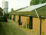 Solar in agricultural facility