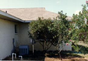 Photo of the outside of a stucco house with trees for shading.