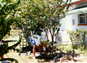 West-facing AC condenser shading at site 3 before landscaping (top). Planting of four Crape Myrtles for shading (bottom).