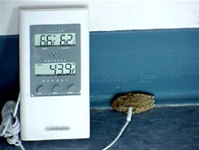 Picture of thermometer.