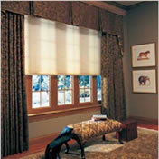 Picture of HunterDouglas Blinds.