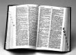 Picture of an open dictionary.