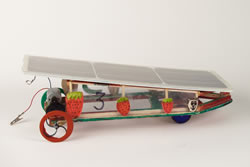 Photograph of Carecar