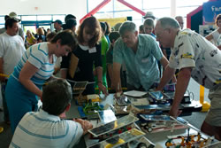 Photograph of judge closely inspecting JSS model car.