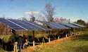 photo of photovoltaic arrays that power the Hard Bargain Farm Environmental Center