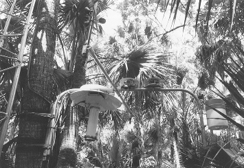 Black and white photo of instruments outside with trees.