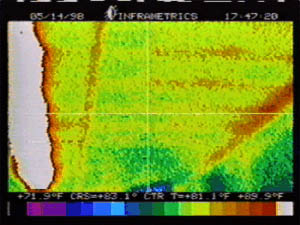Miscellaneous Thermal Picture