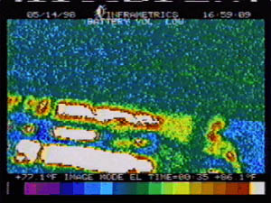 Miscellaneous Thermal Picture