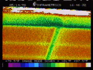 Roof Thermal Picture