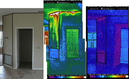 Picture of Comparative thermographs.