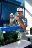 Picture of a Algae water sample test by Dr. C. Linkous.