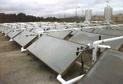 Solar collector array
